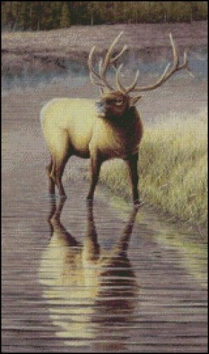 (image for) Morning Bugle